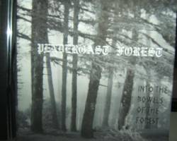 Pendergast Forest : Into the Bowels of the Forest